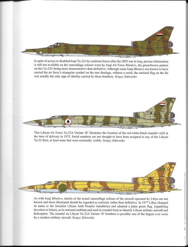 Colour profile of two of the three air forces that flew this type.