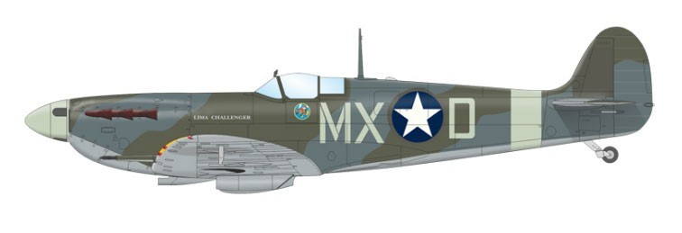 D. Spitfire Mk.Vb, EN851, Lt. Roland F. Wooten, 307th FS, 31st FG, 8th AF, RAF Merston, West Sussex, United Kingdom, late August 1942