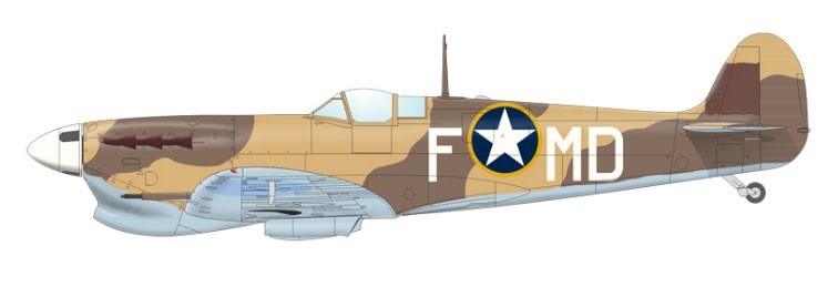 G. Spitfire Mk.Vb Trop, ER200 (probably), Lt. Col. Fred M. Dean, CO of 31st FG, Korba, Tunisia, May 1943