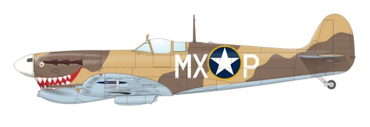 J. Spitfire Mk.Vc Trop, 307th FS, 31st FG, 12th AF, La Senia, Algier, end of 1942