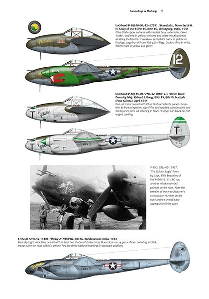 New P-38 Lightning Reference Available | AeroScale