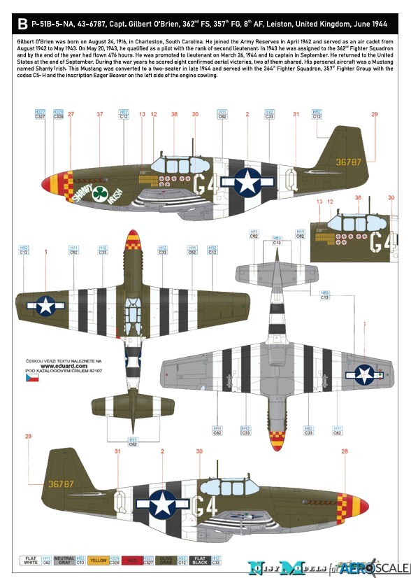 B. P-51B-5-NA, s/n 43-6787, G4*Q, “Shanty Irish”, 362nd FS, 357th FG, 8th AF, UK, June 1944