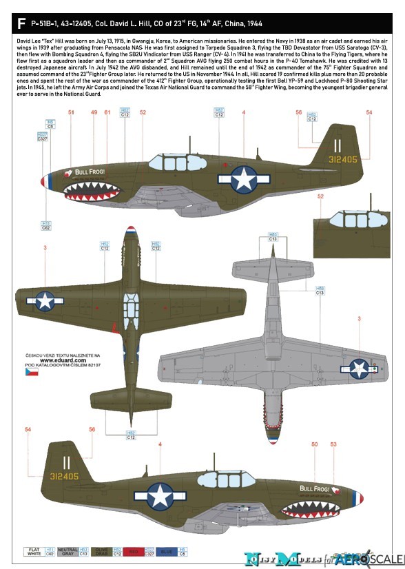 F. P-51B-1, s/n 43-12405, "Bull Frog", 23rd FG, 14th AF, China, 1944