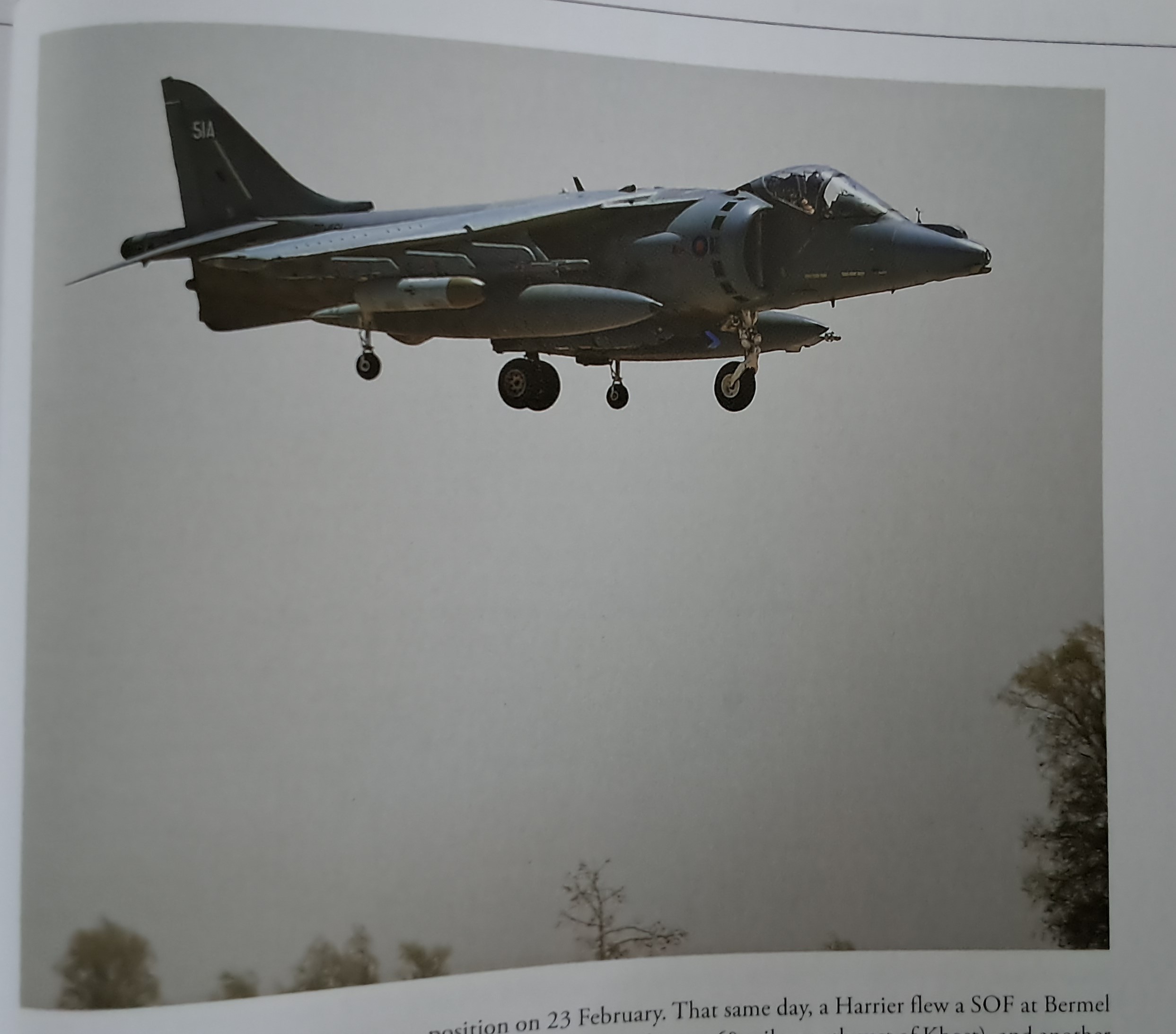 Harrier being Harrier