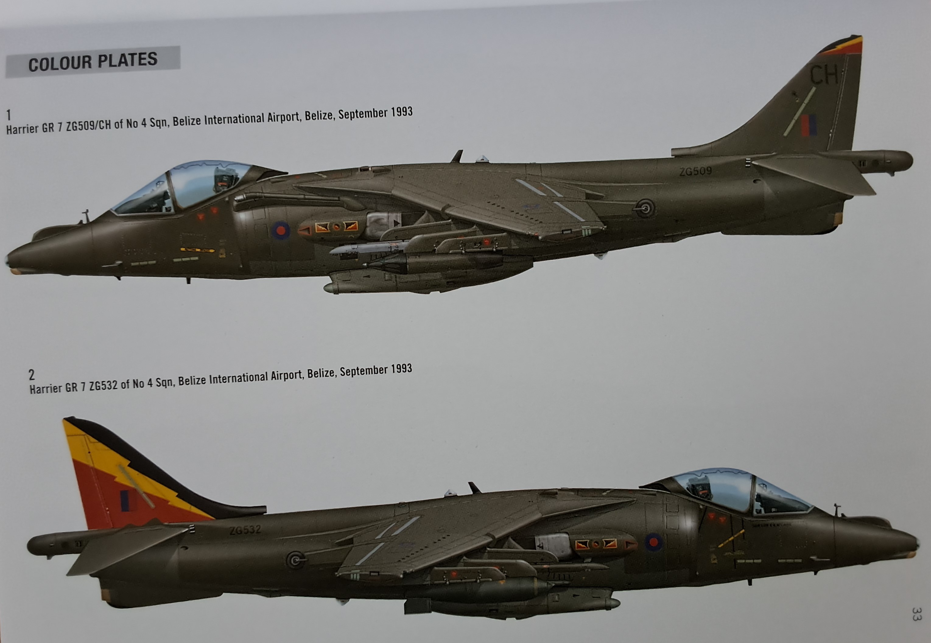 Amazing colour plates... 2. I like the Harrier in green.