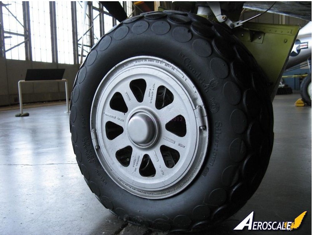 Main tire, natural light
