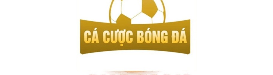 cacuocbongdainfo