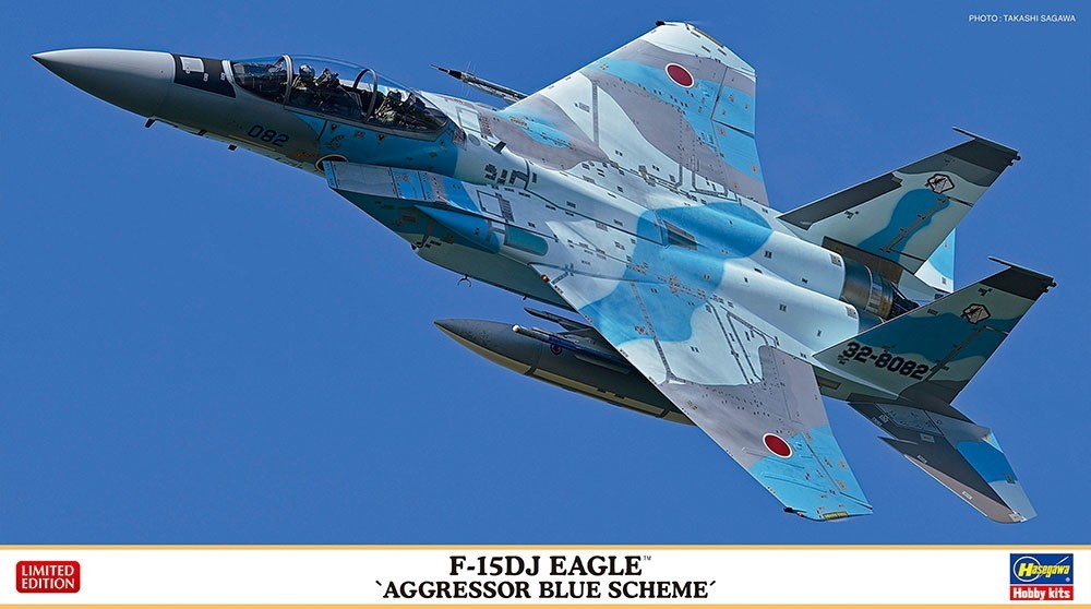 F-15DJ Aggressor