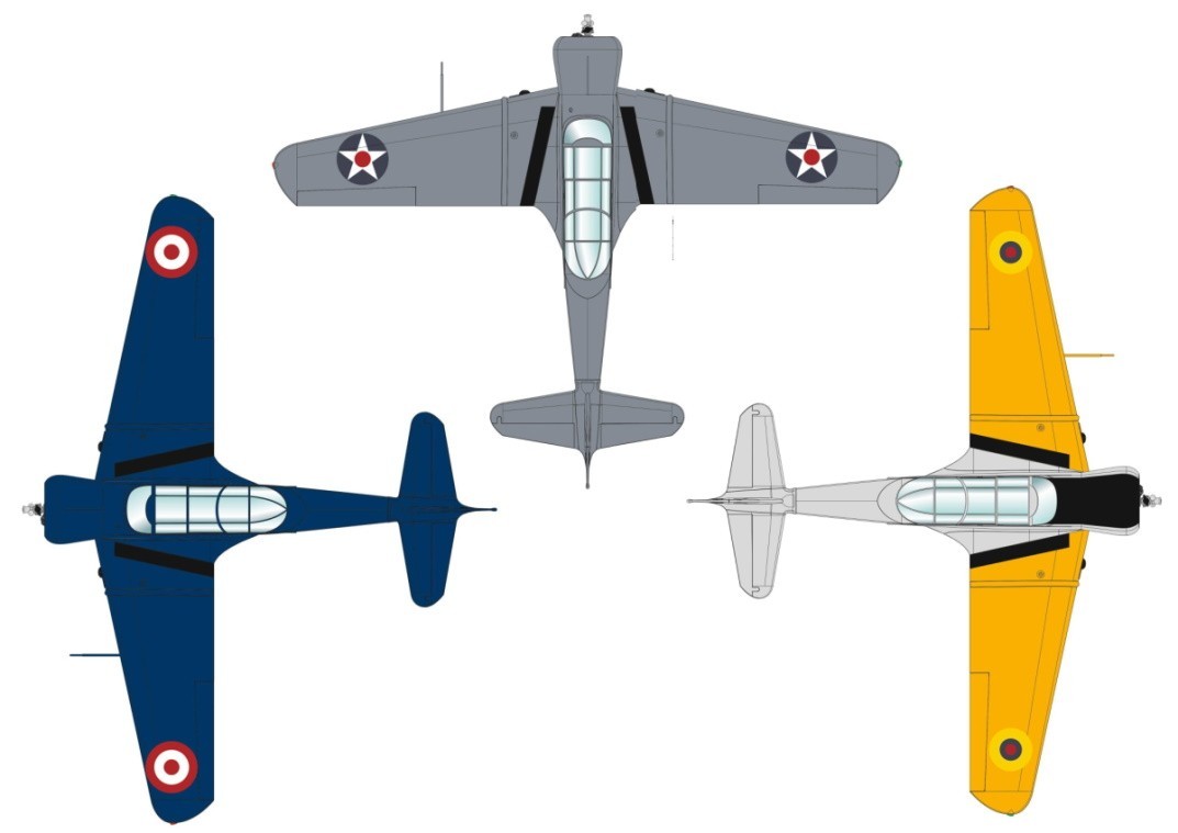 CW-22/SNC-1 Falcon Marking Options