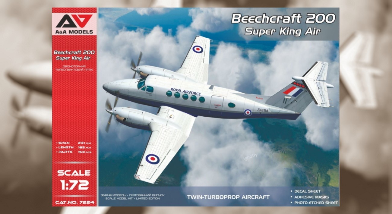 Beechcraft 200 Marking Options