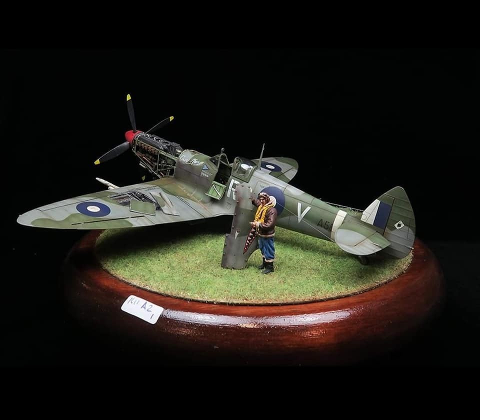 Supermarine Spitfire Mk. VIII A58-602 RGV Wg Cdr R.H. Gibbes 'Inspirations' by Daniel Tadeo