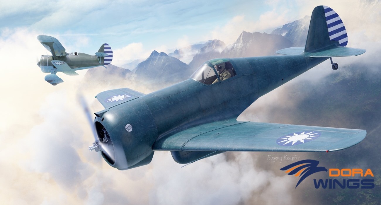 CW-21A Demonstrator Marking Options