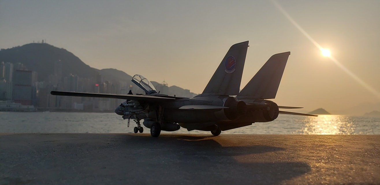 F-14A Top Gun 'Inspirations' by William Tang