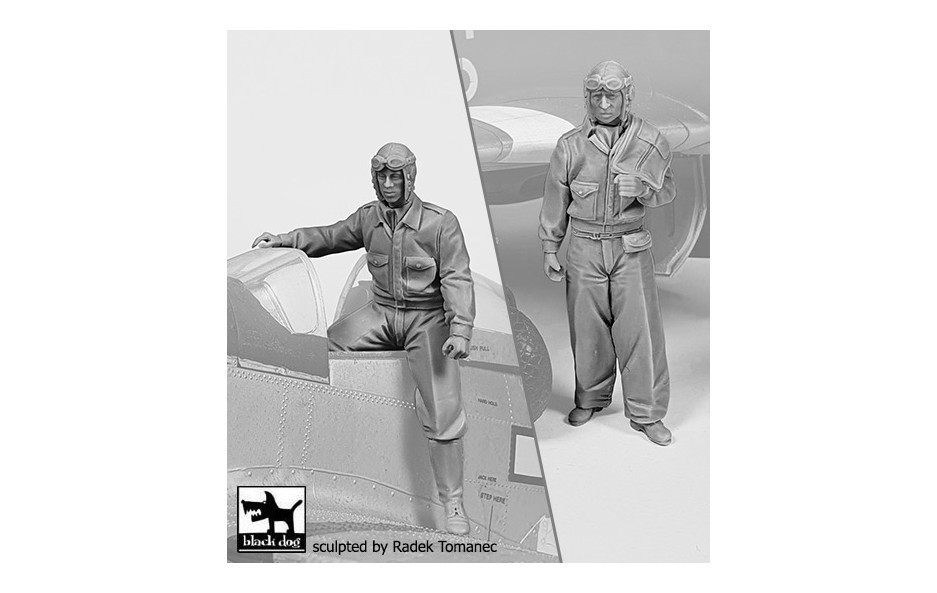 Black Dog USAAF Fighter pilots