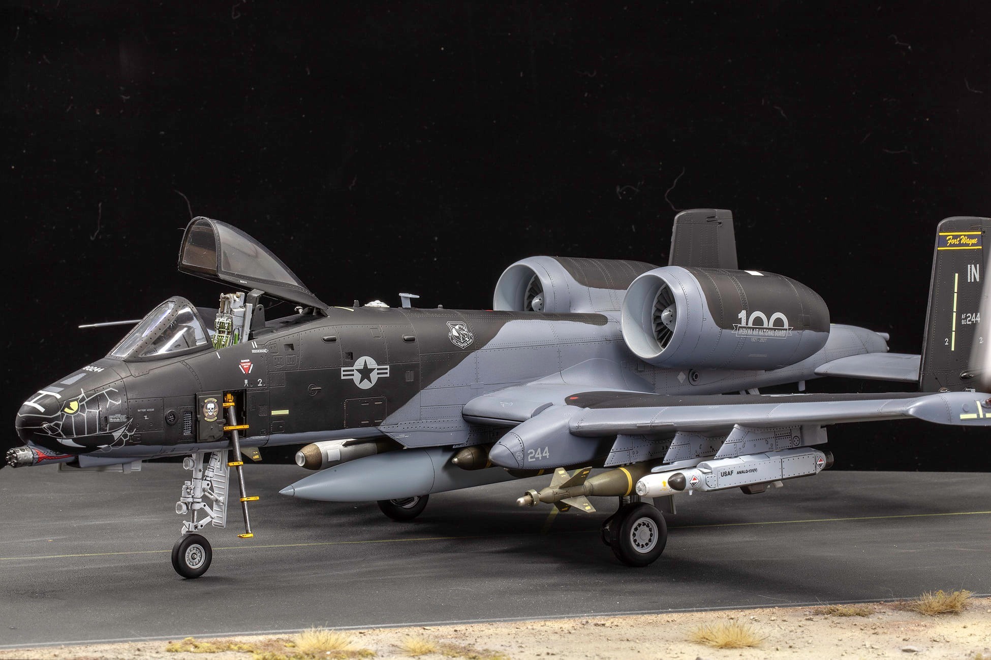 A-10C Thunderbolt the Blacksnake 'Inspiration' by Jorge Oppenheimer
