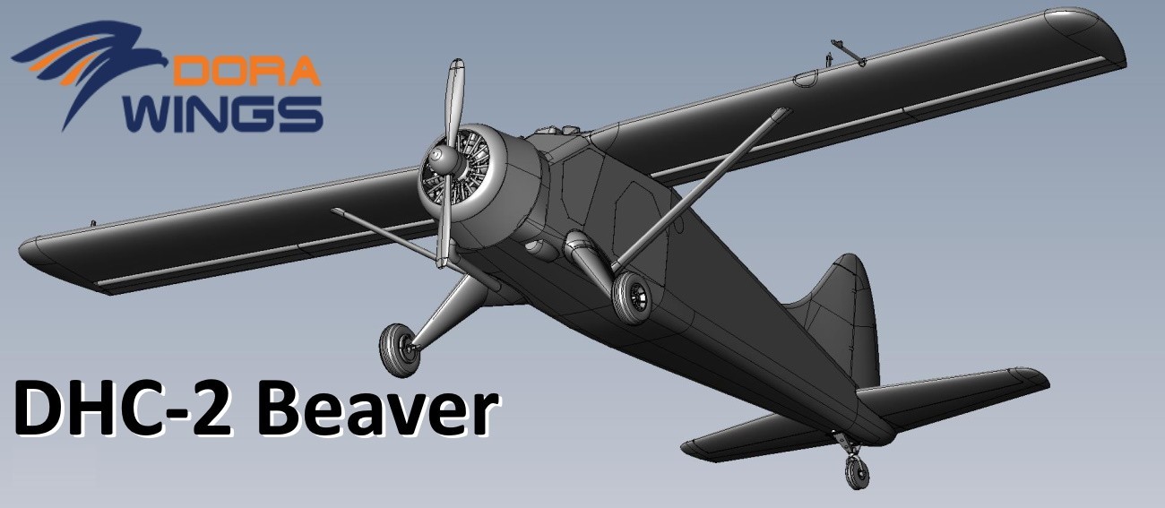 Beaver Renders