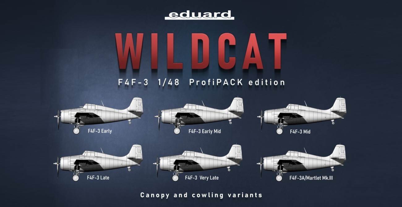 Variations On A F4F-3 Wildcat