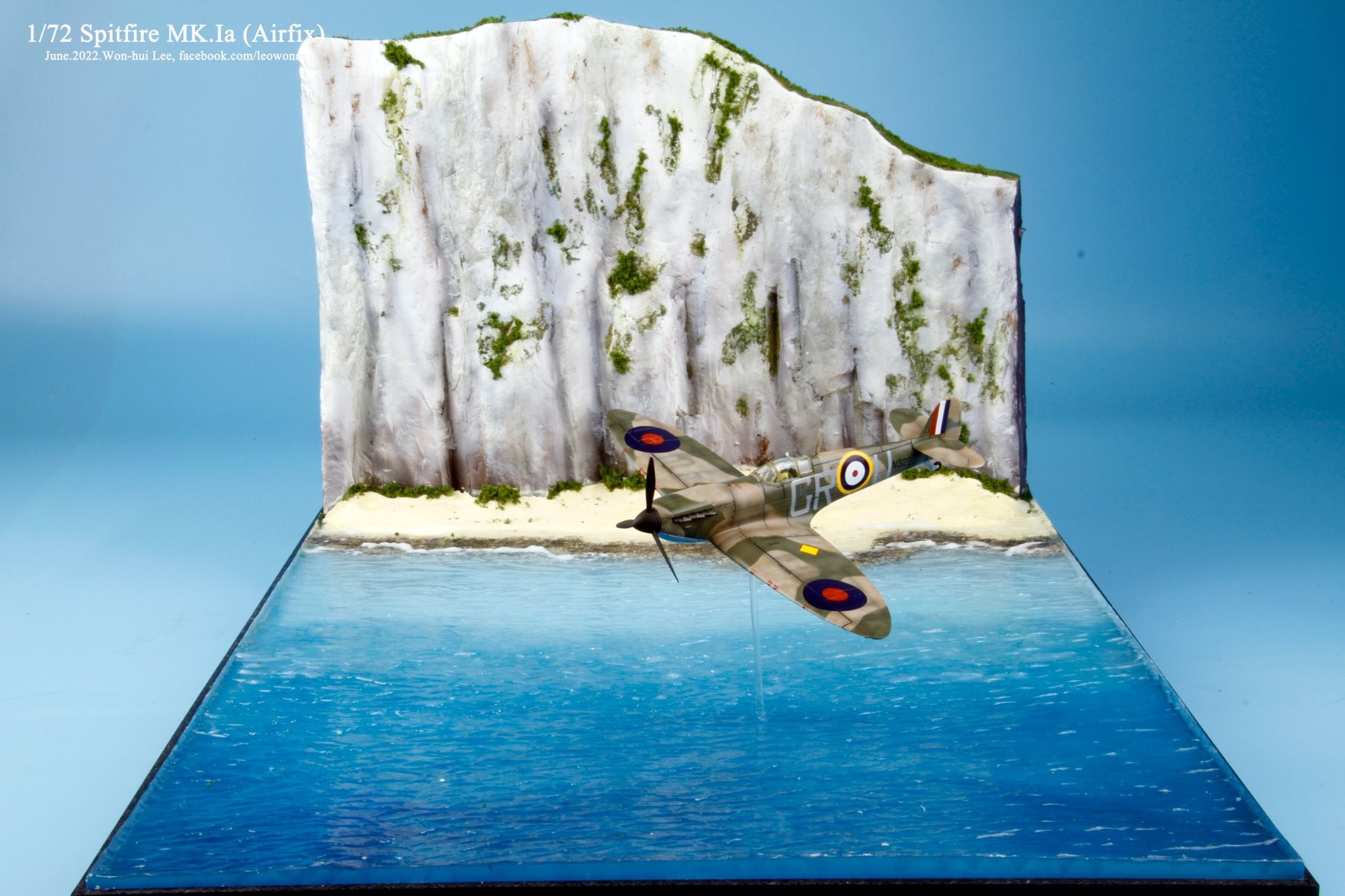Blue birds over the White Cliffs of Dover Spitfire Mk 1A. by Won-hui Lee