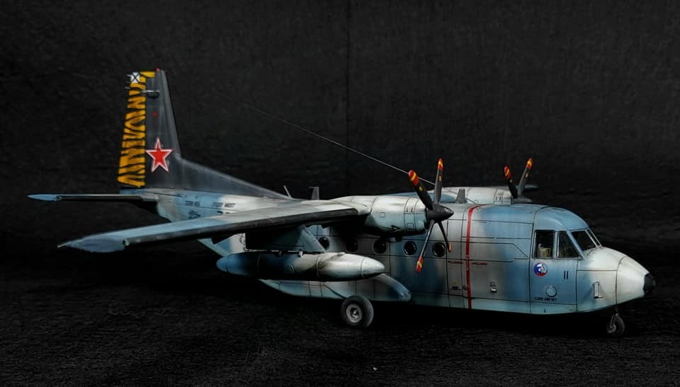 C-212 Aviocar tiger meet by Moises Ballester Pardo
