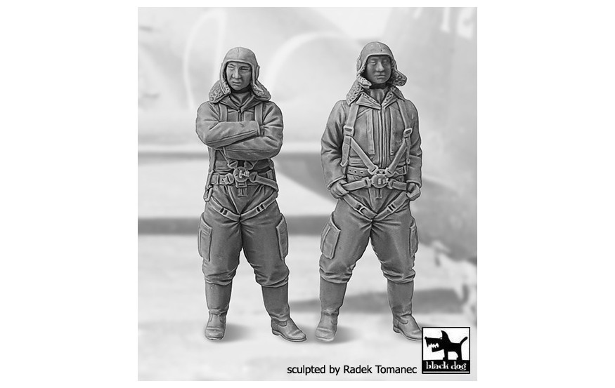Japanese Fighter Pilots WW2