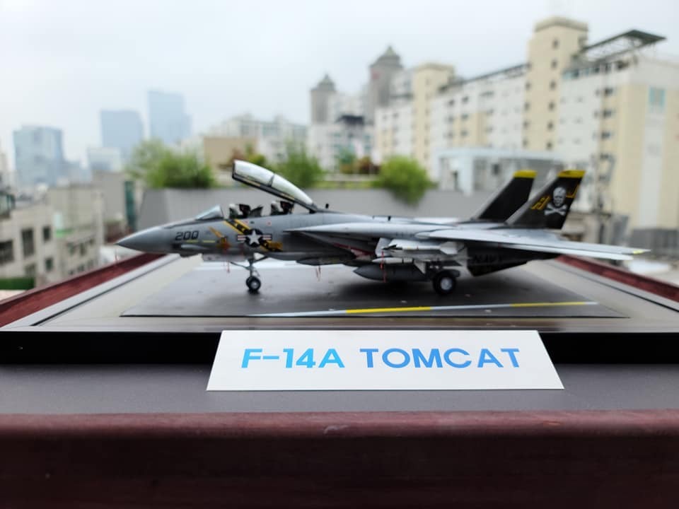 F-14A Tomcat by Youngmin Jang