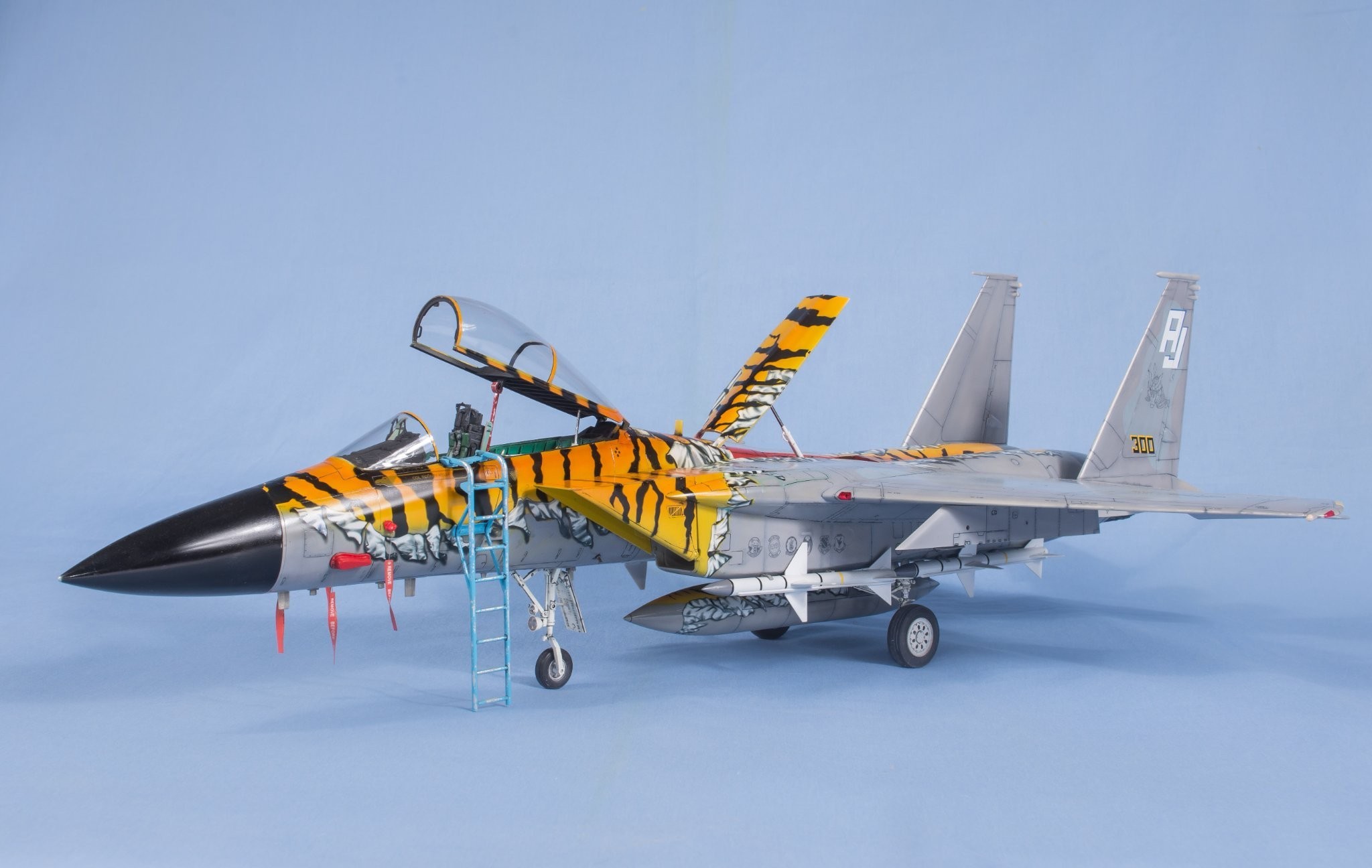 F-15 Eagle Tiger Meet AJ 300