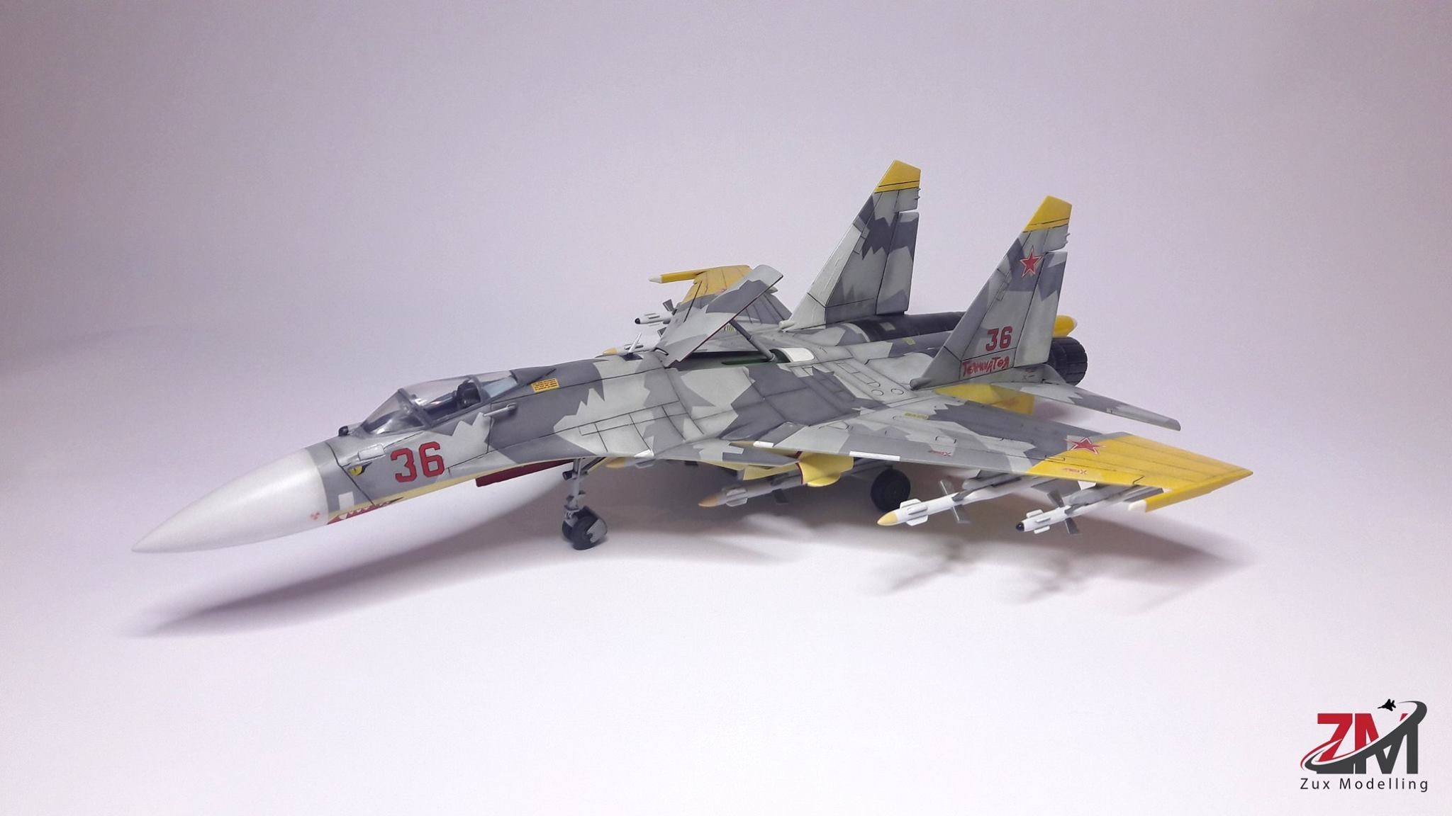 Sukhoi Su-37 (what if Camo)