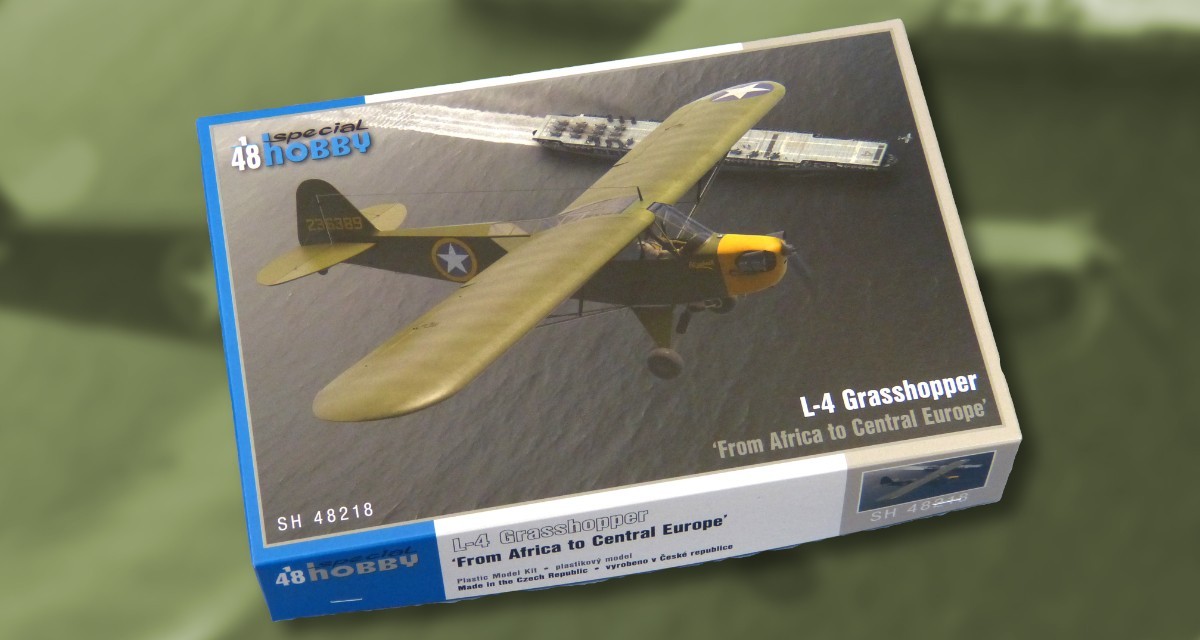 L-4 Grasshopper - From Africa To Central Europe