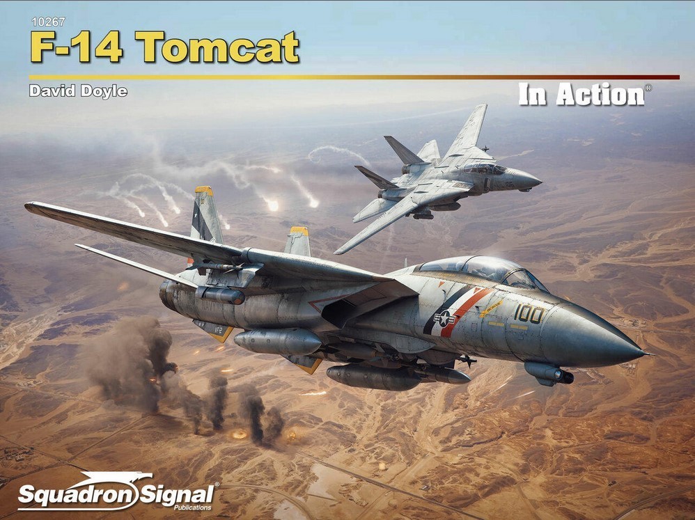 F-14 Tomcat In Action
