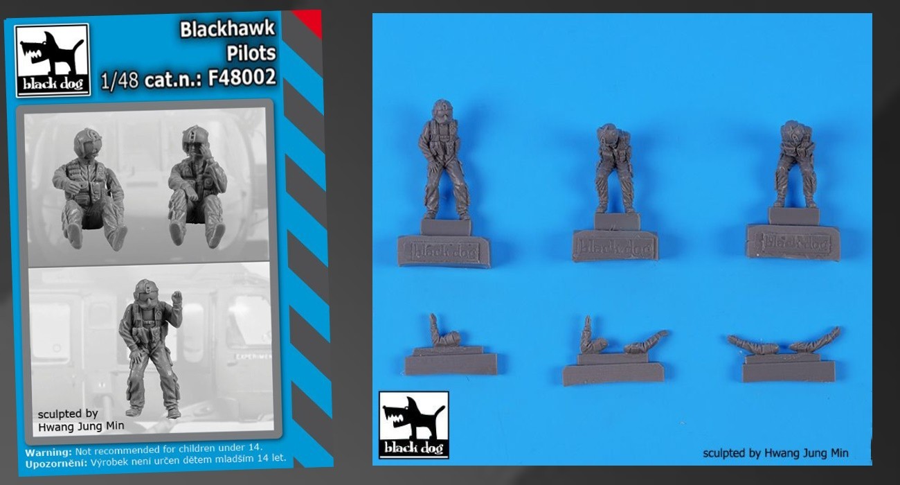 Black Hawk Pilot Figures Released