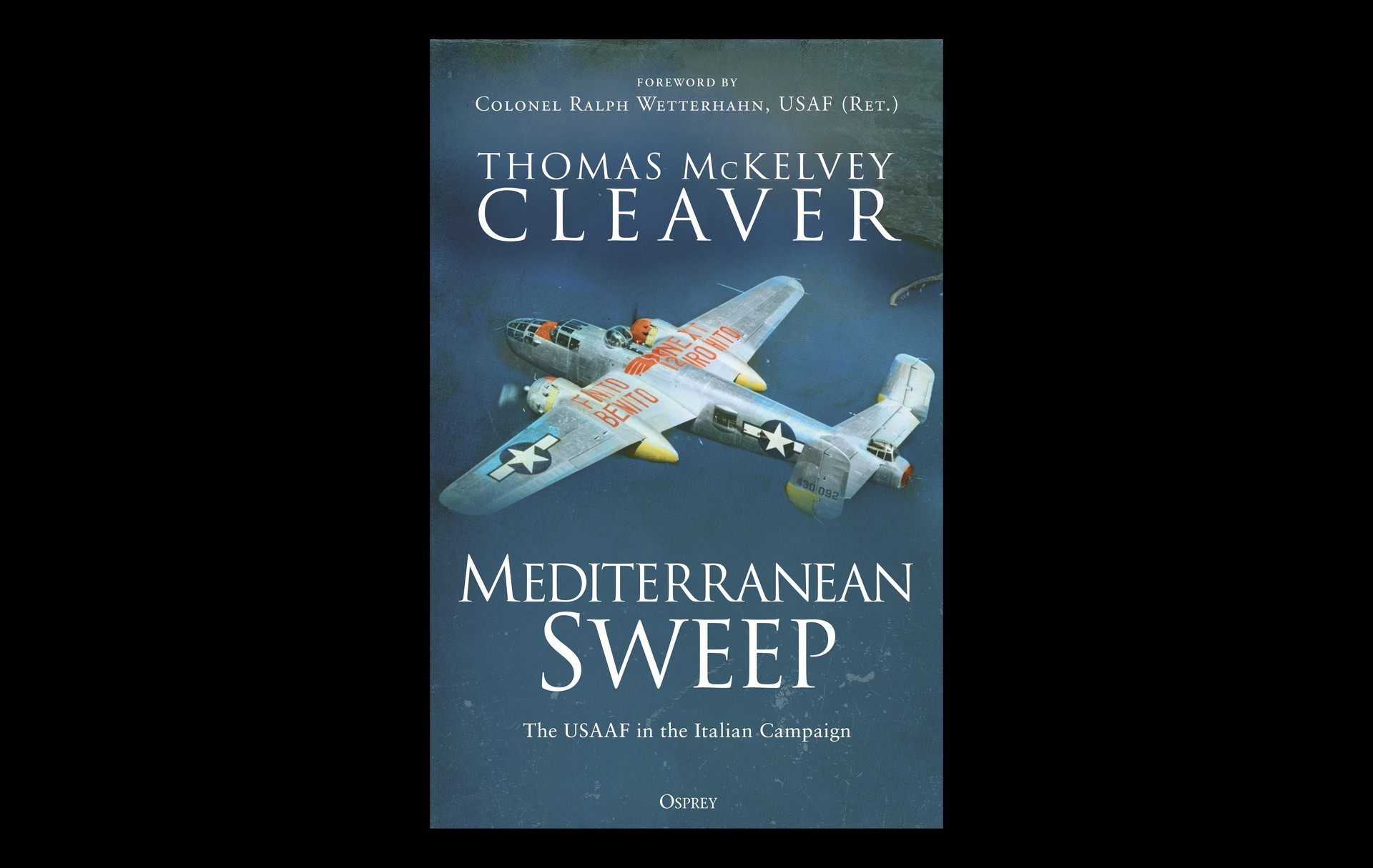 The USAAF in the Italian Campaign