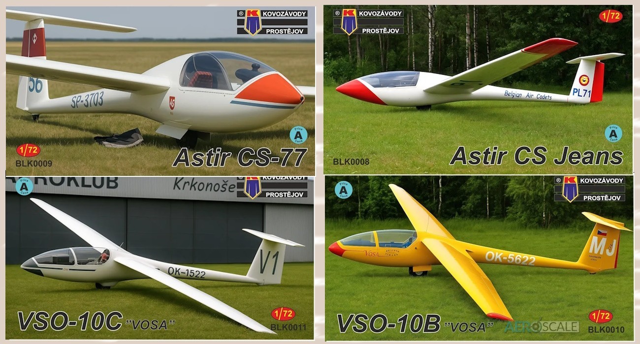 Astir CS & VSO-10 Wasp Gliders Planned
