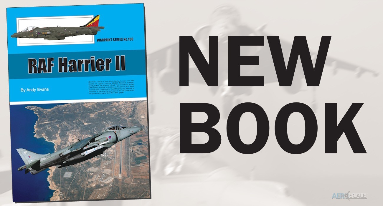 Warpaint No.150 RAF Harrier II