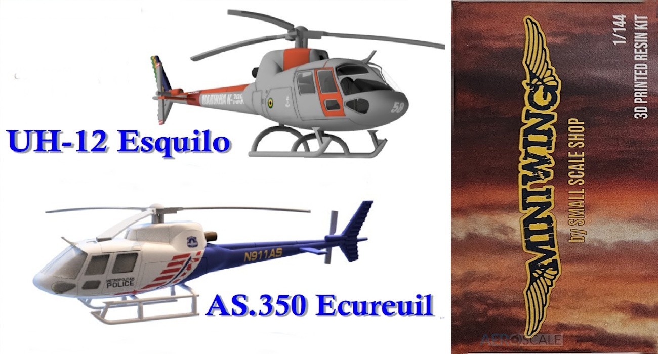 Écureuil & Esquilo On The Way