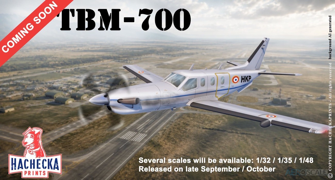 TBM-700 Test Print